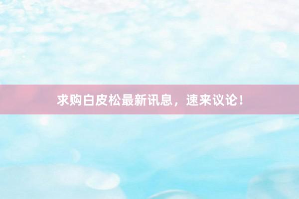 求购白皮松最新讯息，速来议论！