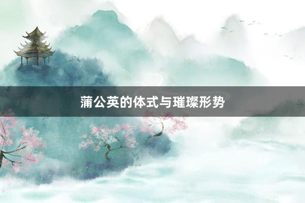 蒲公英的体式与璀璨形势