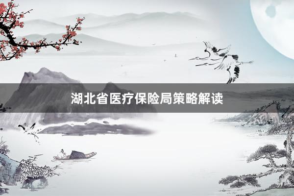 湖北省医疗保险局策略解读