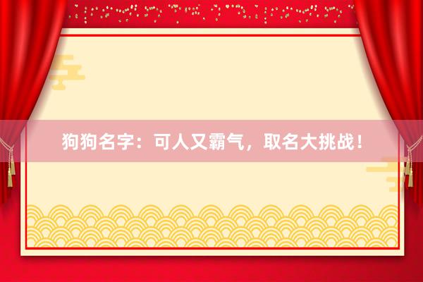 狗狗名字:可人又霸气,取名大挑战!