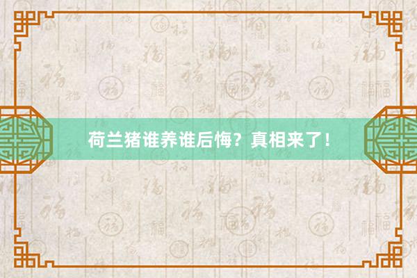 荷兰猪谁养谁后悔？真相来了！