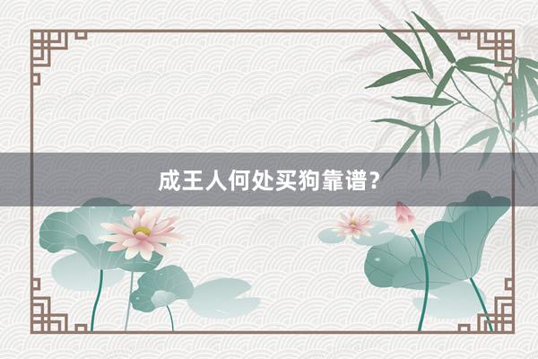 成王人何处买狗靠谱？