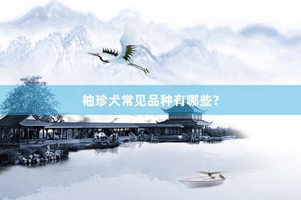 袖珍犬常见品种有哪些？